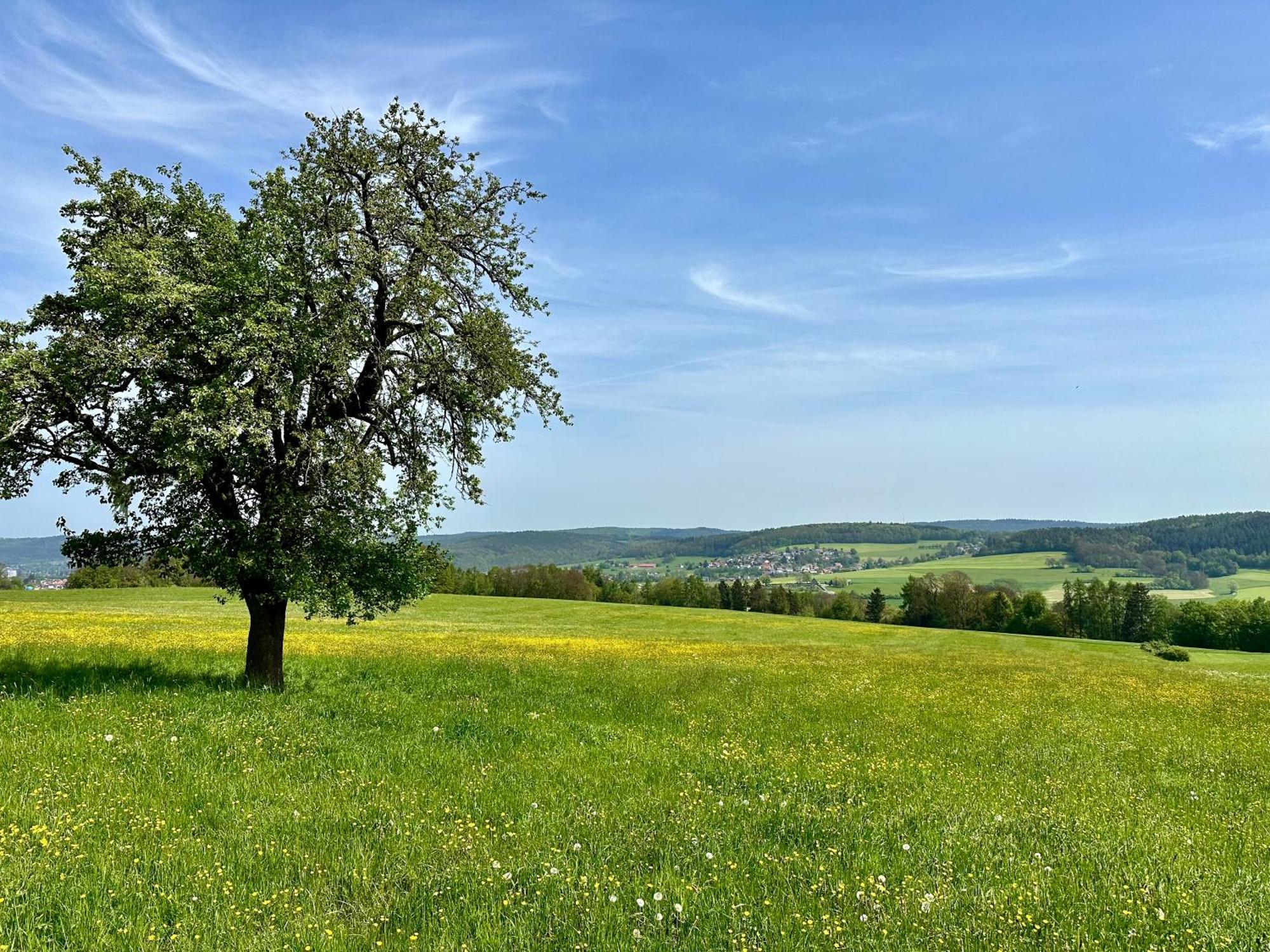 Apartment Robin Erbach  ภายนอก รูปภาพ